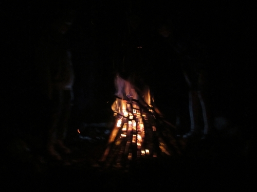 IMG 3133