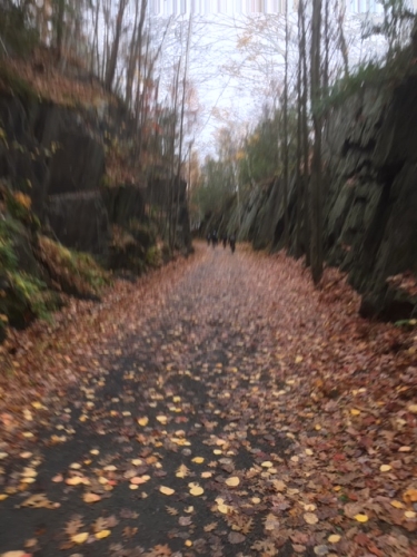 IMG 3251