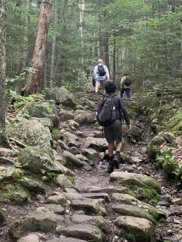 IMG 4318 (1) (1) (1)