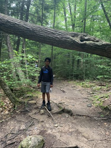 IMG 4319 (1) (1) (1)