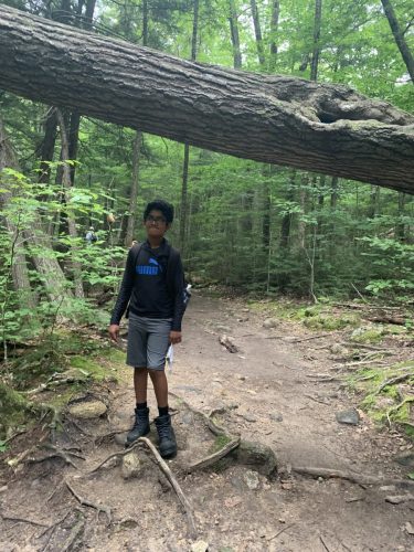 IMG 4320 (1) (1) (1)