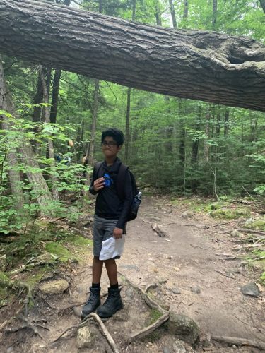 IMG 4321 (1) (1) (1)