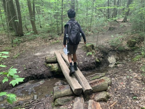 IMG 4322 (1) (1) (1)