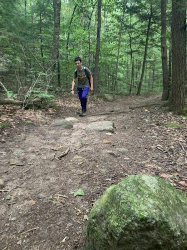 IMG 4323 (1) (1) (1)