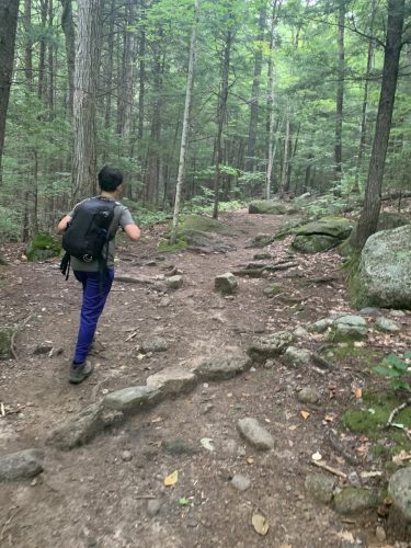 IMG 4325 (1) (1) (1)