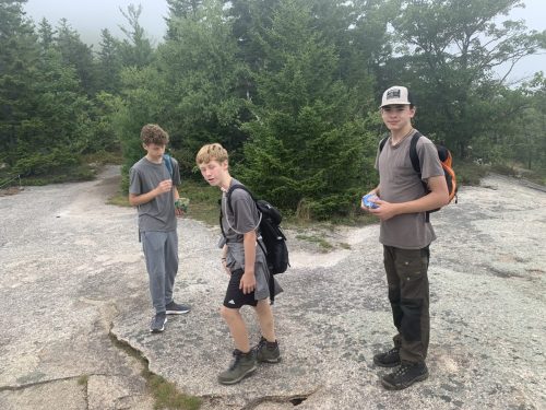 IMG 4334 (1) (1) (1)