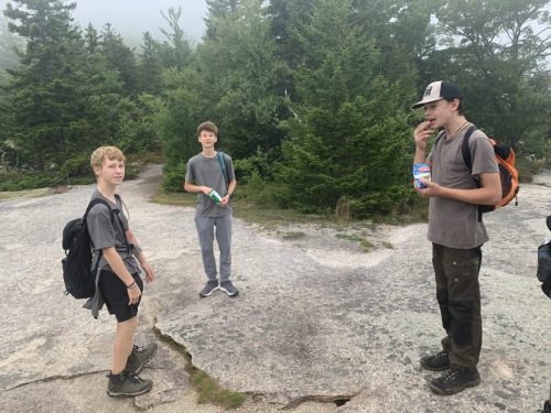 IMG 4335 (1) (1) (1)