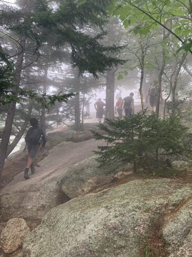 IMG 4336 (1) (1) (1)