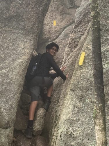 IMG 4339 (1) (1) (1)