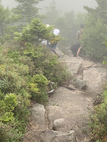 IMG 4346 (1) (1) (1)