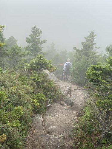 IMG 4347 (1) (1) (1)