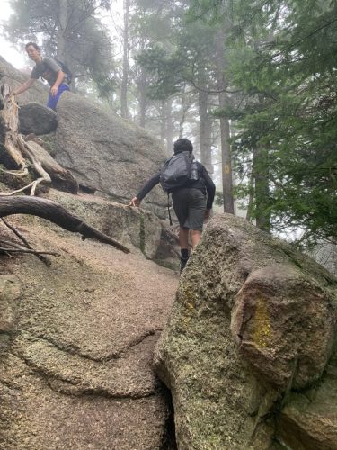 IMG 4348 (1) (1) (1)