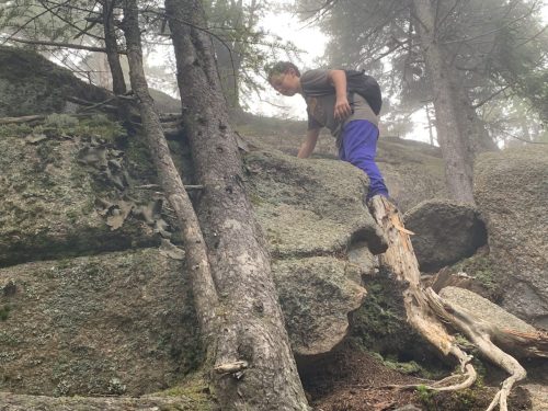 IMG 4349 (1) (1) (1)