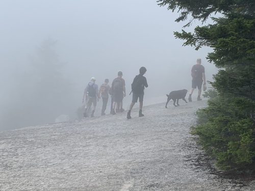 IMG 4351 (1) (1) (1)