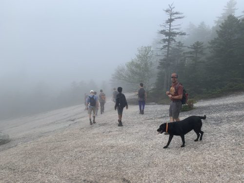 IMG 4352 (1) (1) (1)