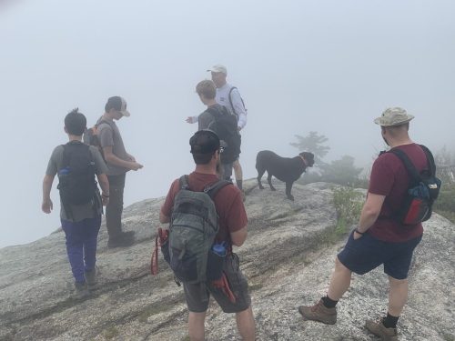 IMG 4354 (1) (1) (1)