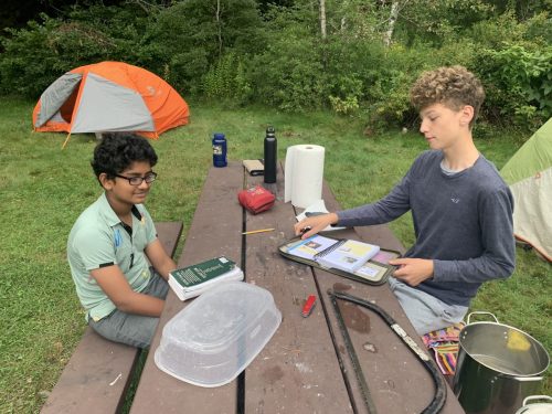 IMG 4363 (1) (1) (1)