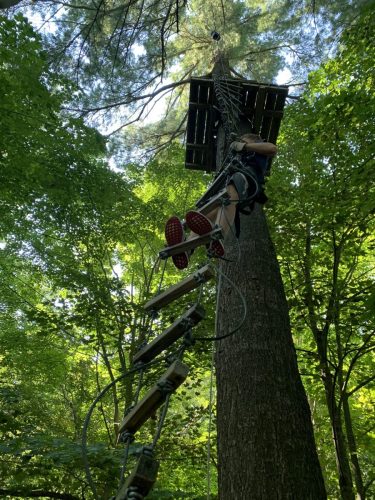 IMG 4435 (1) (1) (1) (1)