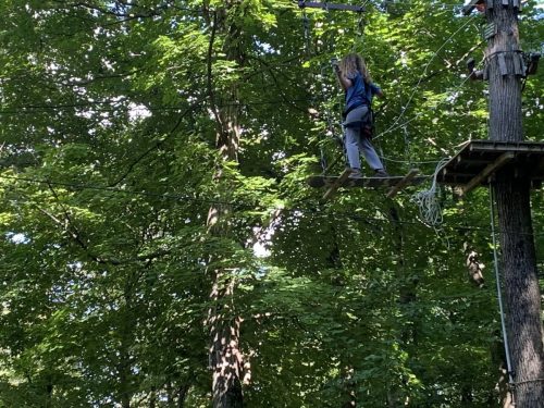 IMG 4440 (1) (1) (1) (1)