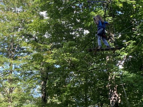 IMG 4441 (1) (1) (1) (1)